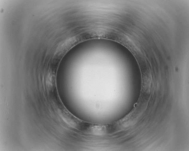 X0000088360126200705221041