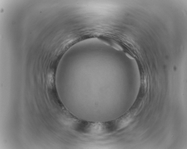 X0000088360127200705221041