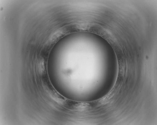 X0000088360128200705221041