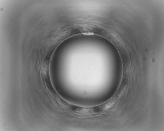 X0000088360129200705221040