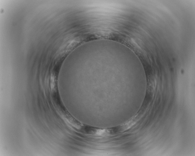 X0000088360130200705221040