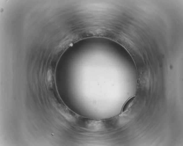 X0000088360132200705221040