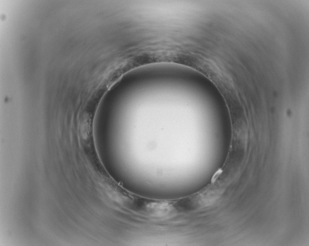 X0000088360133200705221040