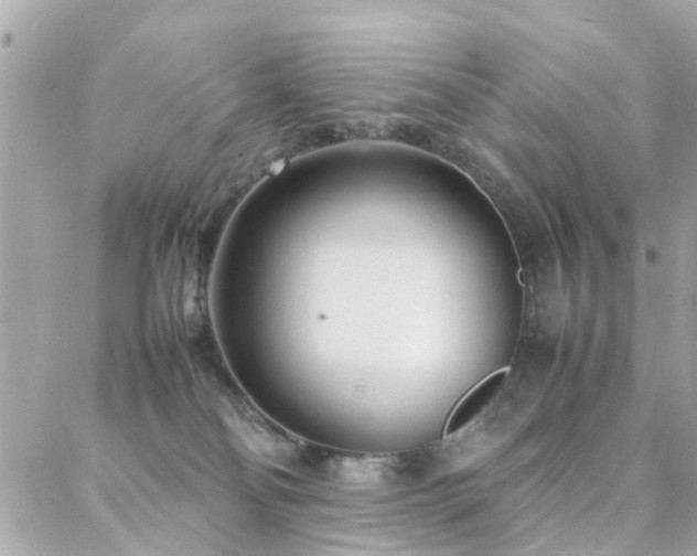 X0000088360134200705221040