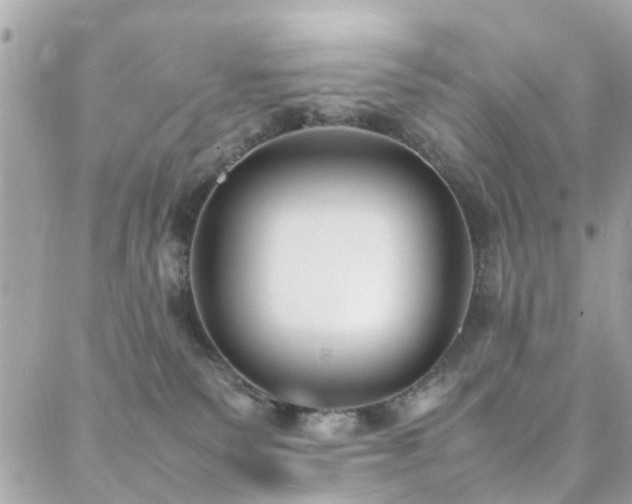 X0000088360135200705221040