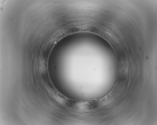 X0000088360136200705221040