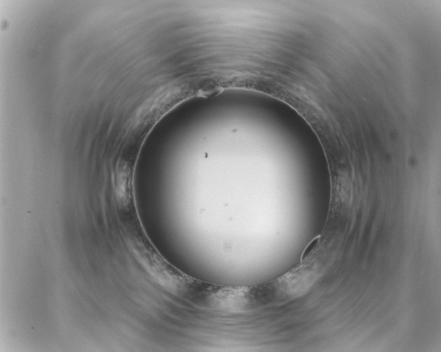 X0000088360138200705221040