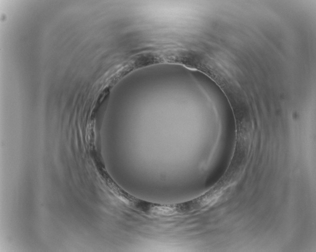 X0000088360139200705221040