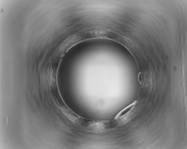 X0000088360140200705221040