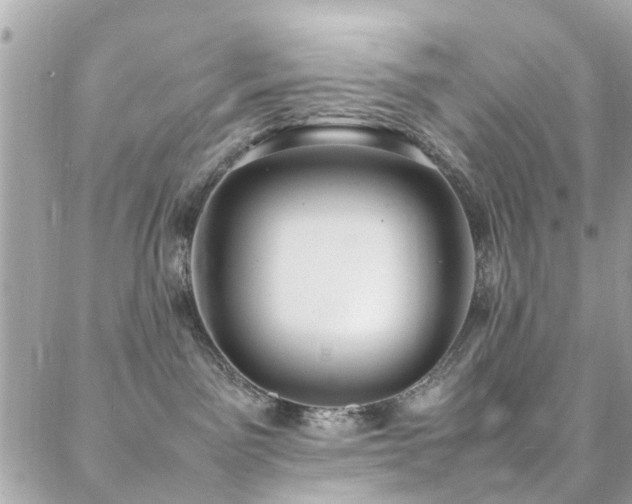 X0000088360141200705221040