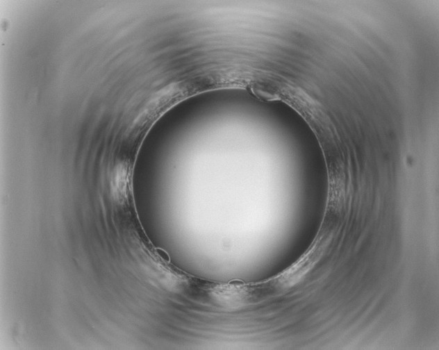 X0000088360142200705221040