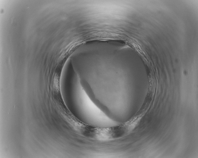 X0000088360143200705221040