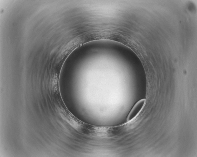 X0000088360144200705221040