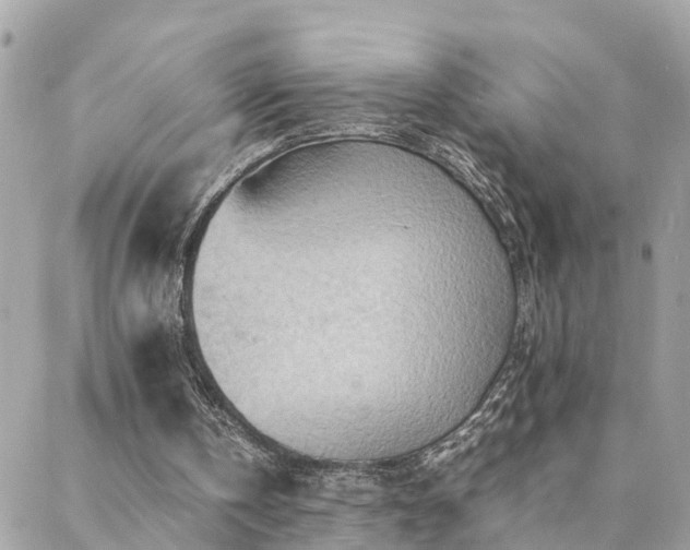 X0000088360146200705221039