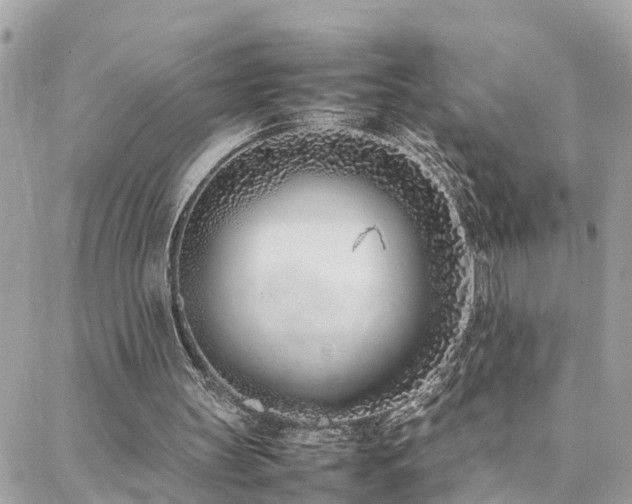 X0000088360147200705221039