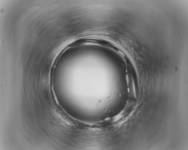 X0000088360148200705221040