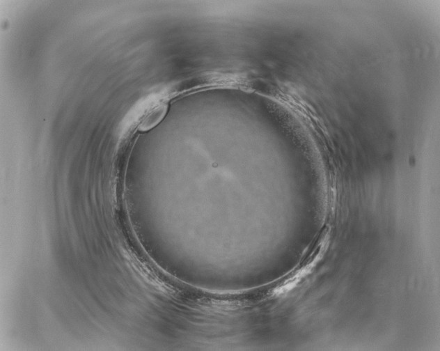 X0000088360149200705221040