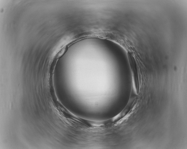 X0000088360150200705221040