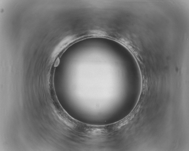 X0000088360151200705221040