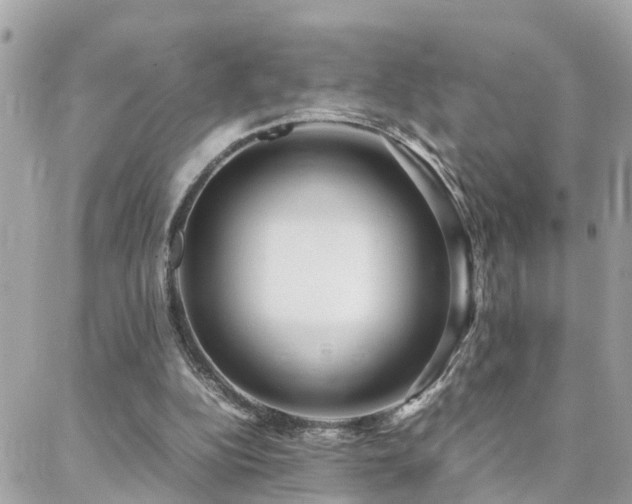 X0000088360152200705221040