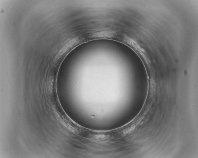 X0000088360153200705221040