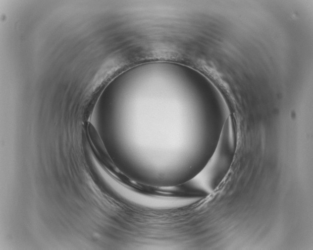 X0000088360154200705221040