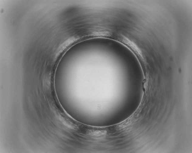 X0000088360155200705221040