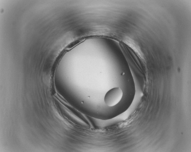 X0000088360156200705221040