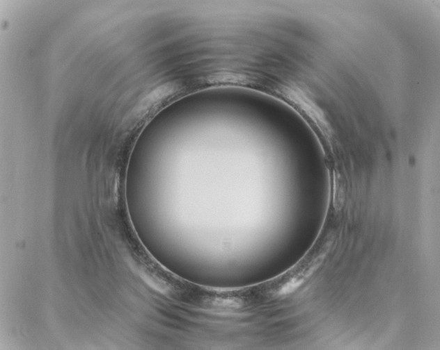 X0000088360157200705221040