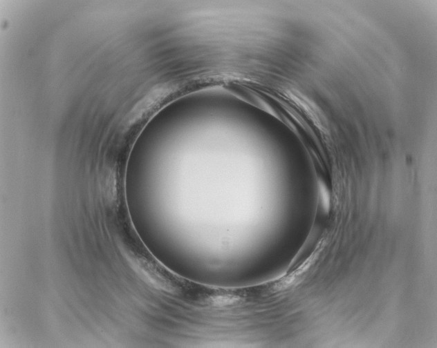 X0000088360158200705221040