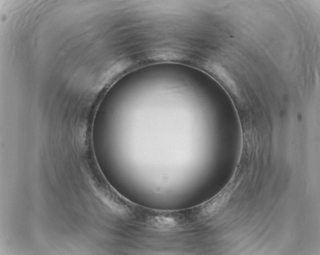 X0000088360159200705221040