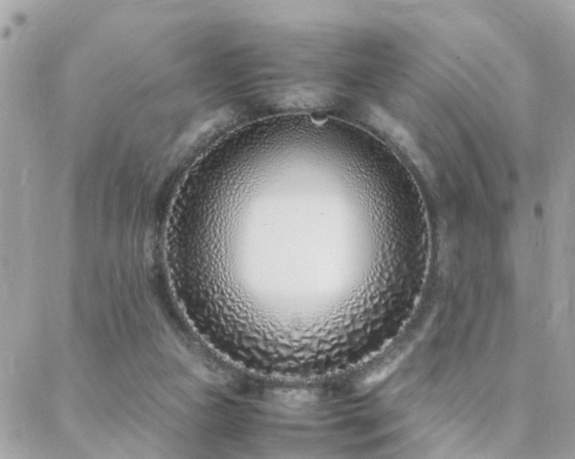 X0000088360161200705221040