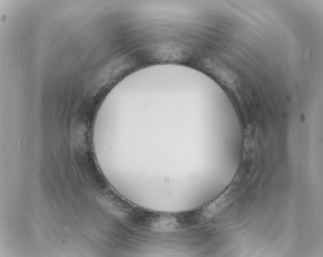 X0000088360162200705221040