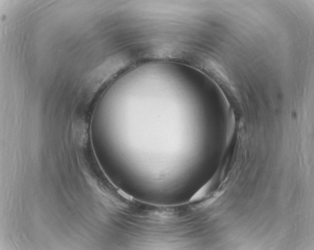 X0000088360164200705221040