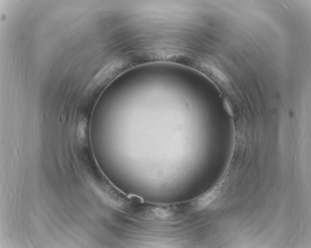 X0000088360166200705221040