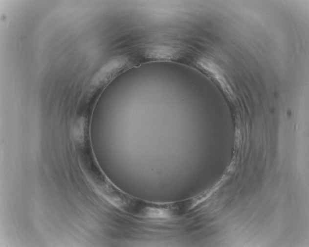 X0000088360167200705221040