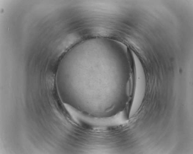 X0000088360168200705221040