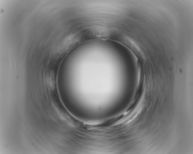 X0000088360170200705221040