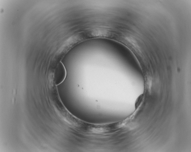 X0000088360171200705221040