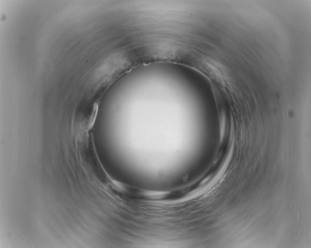 X0000088360172200705221040