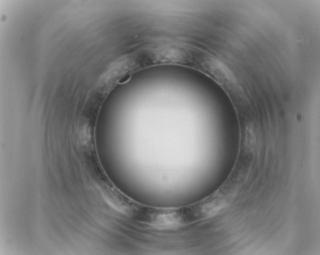 X0000088360173200705221040