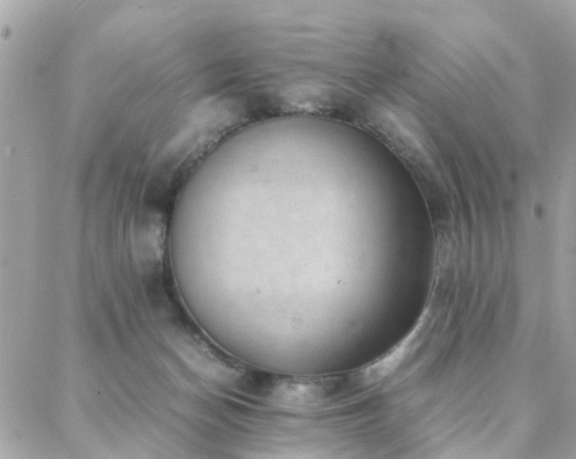 X0000088360174200705221040