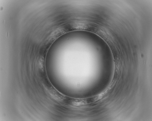 X0000088360175200705221040