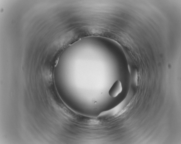 X0000088360176200705221040