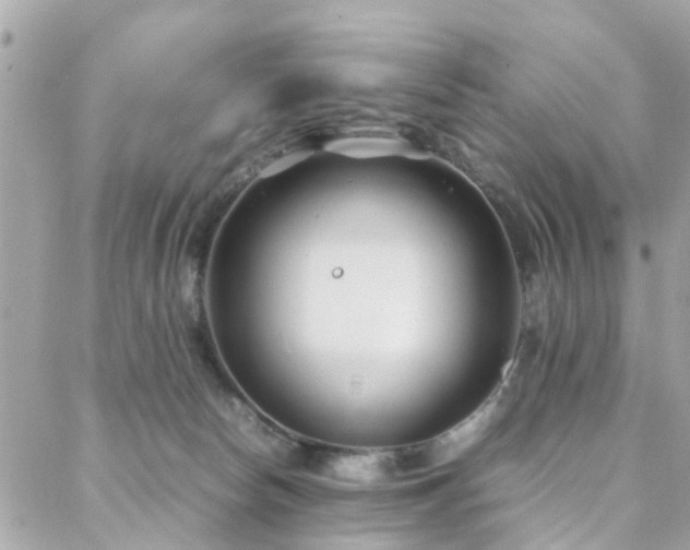 X0000088360178200705221040