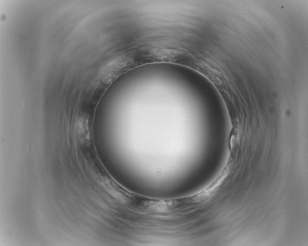 X0000088360182200705221040