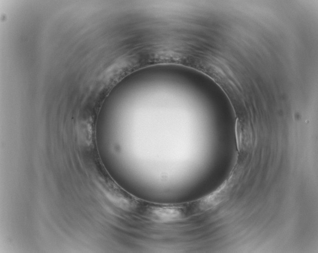 X0000088360183200705221040