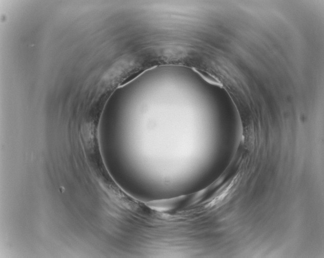 X0000088360184200705221040