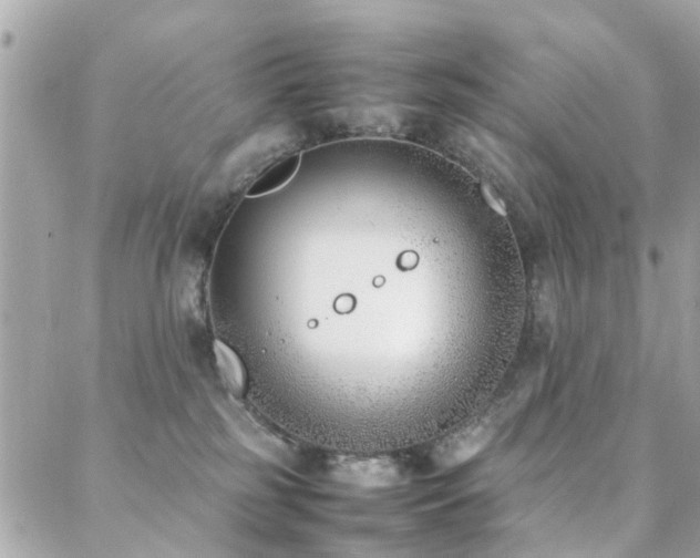 X0000088360185200705221040