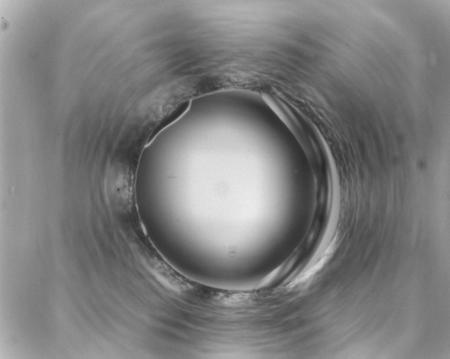 X0000088360186200705221040